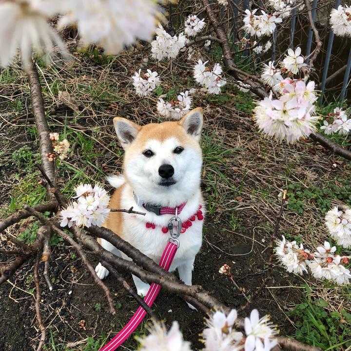 969df99f 2b9a 4977 a3e3 c4827082ffe2 1647305839362