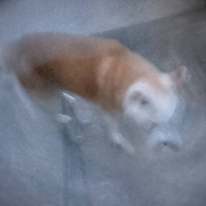 969e253e 6b2c 4681 a2ba 698103c75a10 1695818557340