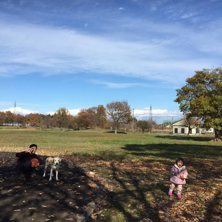 969e3d93 ad66 4d1b ad90 75bba5a407f9 1558245875792