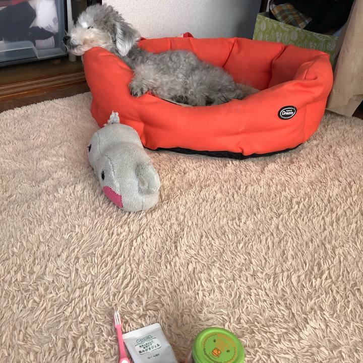 969e458c bbf0 4678 92ff b79d7953b961 1575435928233