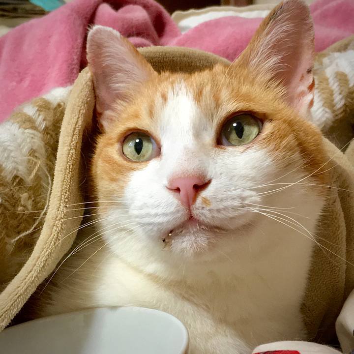 969e4e5f 5ae8 41b8 a168 edf2194eab2e 1589872808767