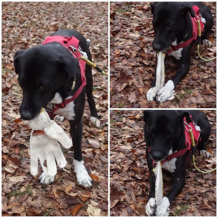 969e98a7 9913 4bc5 b142 96d662e1ea80 1609287745904