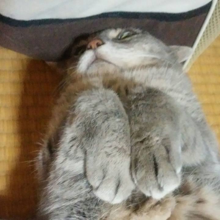 969ebfbc cb90 4f28 966c 9978a7739669 1563202468653