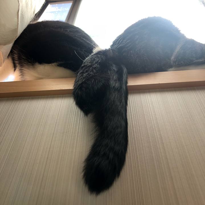 969eef4f 5b5a 4a21 95da a0d0b3a0f46a 1588996546215