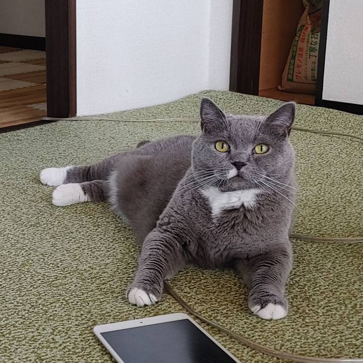 969ef035 c72c 4f45 a4dc 998aa28e7e73 1656123191856