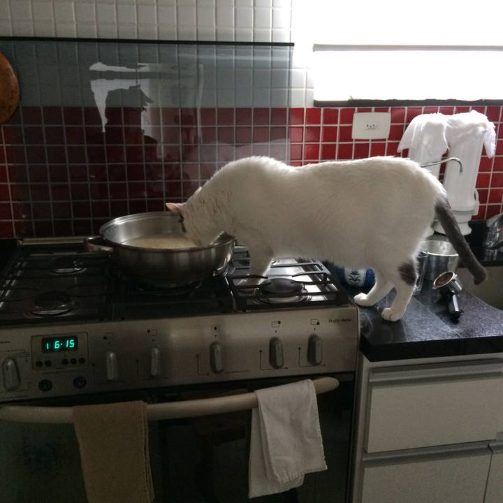 969f3221 31d6 4b26 877f d984966ef3bd 1551533385682