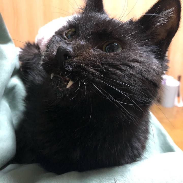 969f4261 7089 4d8a 9121 6b896332c32c 1645965919820