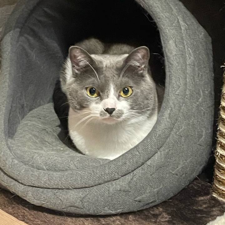 969f51fe 17bd 4188 93db b08ddb9f9b93 1667041865513