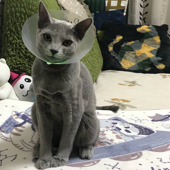 969f66e8 35ff 47b5 88f2 1fe09d766ddd 1512996314848