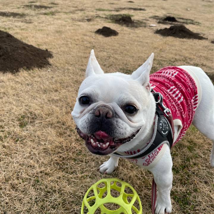 969f6dff 9c9f 45e3 ab84 494700aebd34 1766020423567