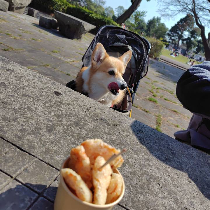 969f964d 6629 4382 ac19 67e46b4d3b37 1743855967132