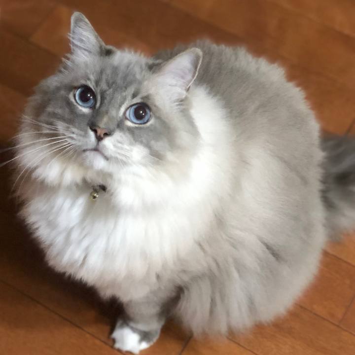 969f9873 782a 497b 8fca 12402c61009d 1692284027571