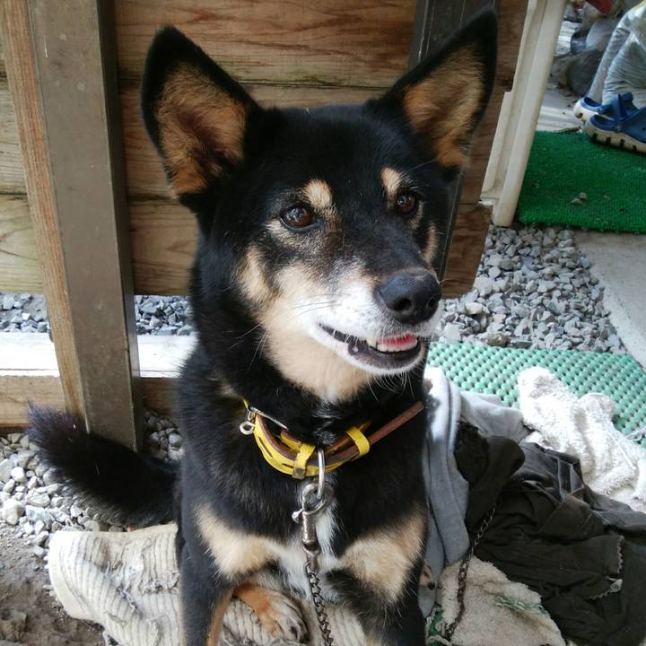 96a00672 f730 41d0 a82c b808781fe628 1509675828223