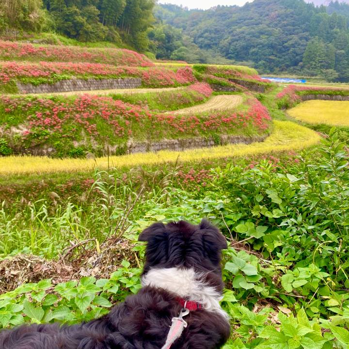 96a09912 d4e3 43a9 a484 07b64c67cc03 1664171184830