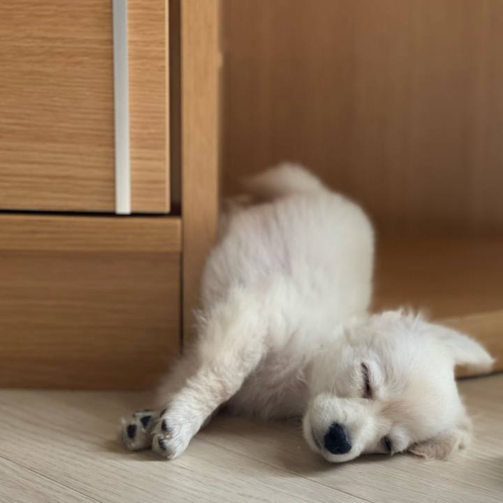 96a0a66a ee4a 4651 9dbc d4a6b6b35bc6 1625964214358