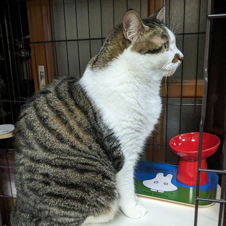 96a0becd 75f4 40f4 ace4 cc462c6b7591 1694864770775