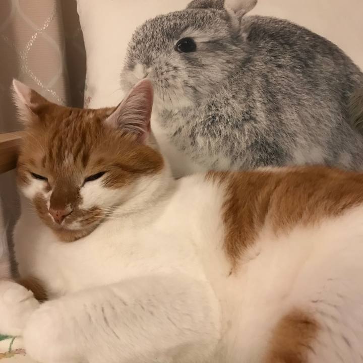 96a0cf92 fa04 4461 ba35 0f5583693352 1522837898338