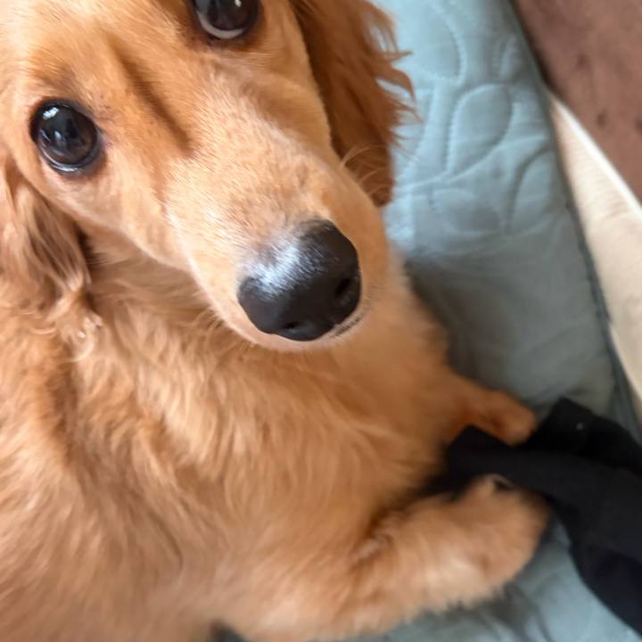 96a0de91 d8b6 47d1 8b41 d6345c9637db 1760241771810