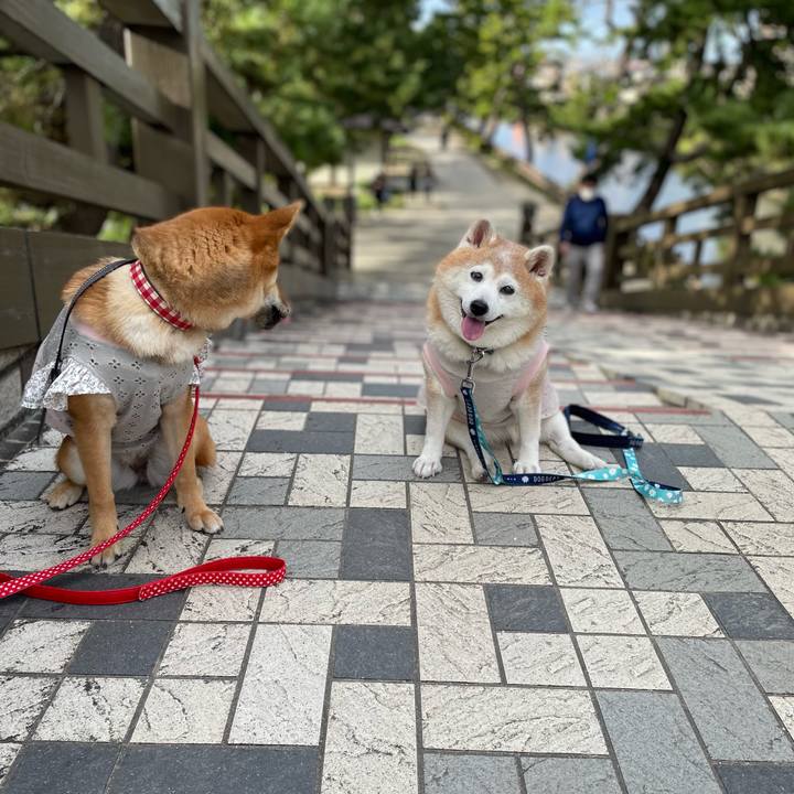 96a0fbd0 384a 4931 83f3 c95a9ed6f66c 1665830863332