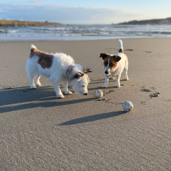 96a12d2b b9d5 4979 89de 093e6e9094ca 1762214402159