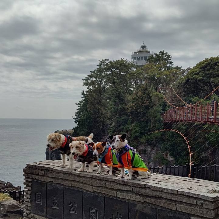 96a15812 4bc0 4347 aca0 cf39081b5a2d 1678602877191