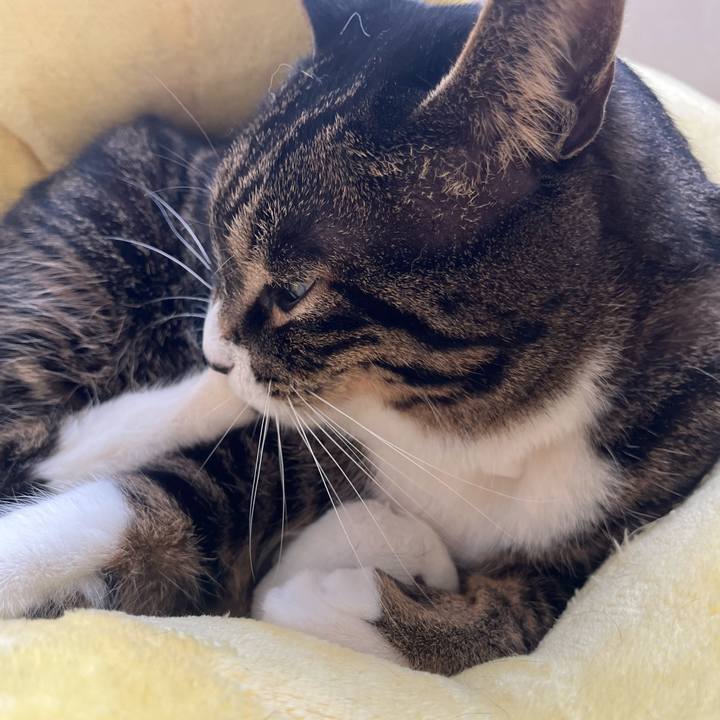 96a18907 55c1 4dc1 9601 40fe8ecc41f8 1768261182991