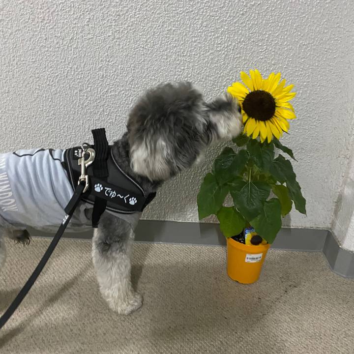 96a19776 99eb 49a7 b99f 75664347d7ab 1591972597033