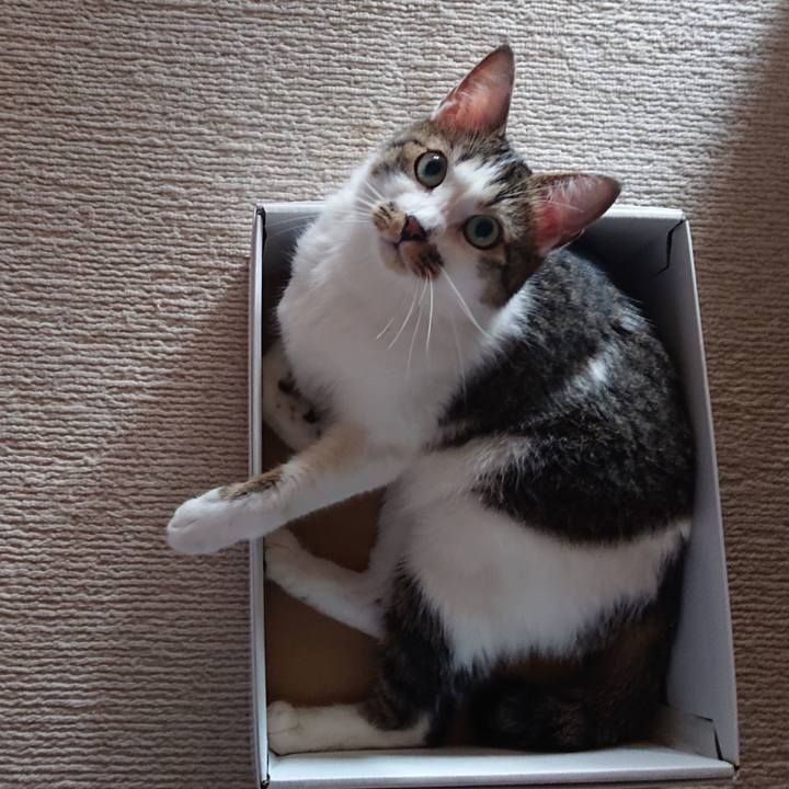 96a1b2ba 4791 498a 8533 8357f29e3f16 1693363534980