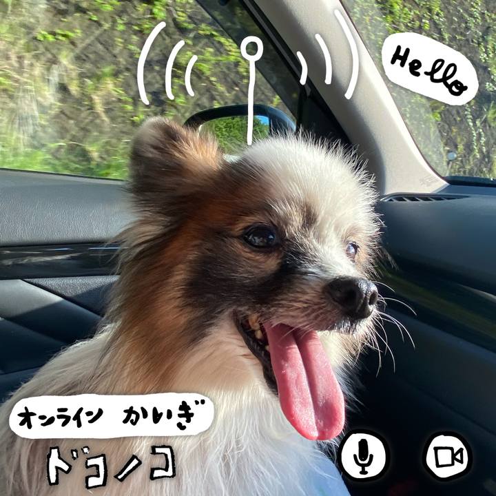 96a1eb95 0f24 474a b5e8 1186face3a1f 1590676864754