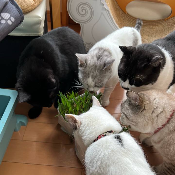 96a1f962 8baa 478d 9a02 04c54b5e5d55 1688510367725