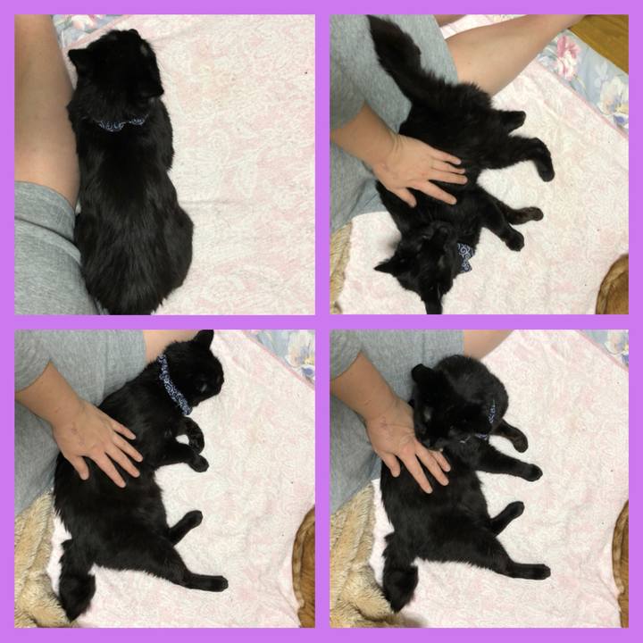 96a219bf 1159 4b70 8760 7f52a16cd348 1579985443084