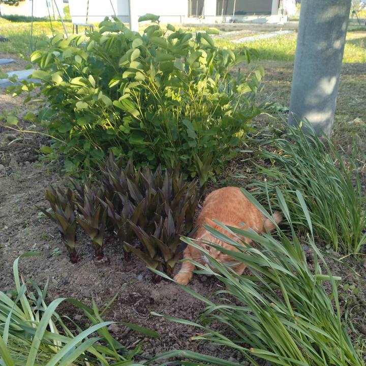 96a25095 7fdb 415b 95d1 a695ad6880a4 1684926364479