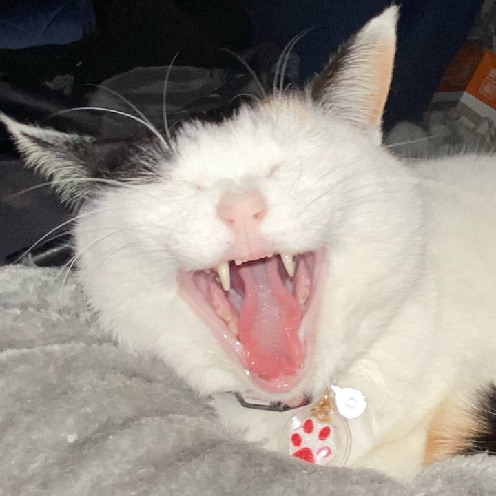 96a26882 efd5 4ad7 9bcb 5b6a0f151c6f 1644355632823