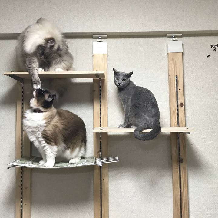 96a26ed5 51bf 4503 ab1c 71a573e1d265 1525487104501