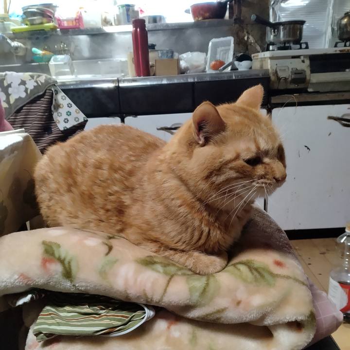 96a2b234 e55b 4240 92b7 4b62fdde3202 1761622229876