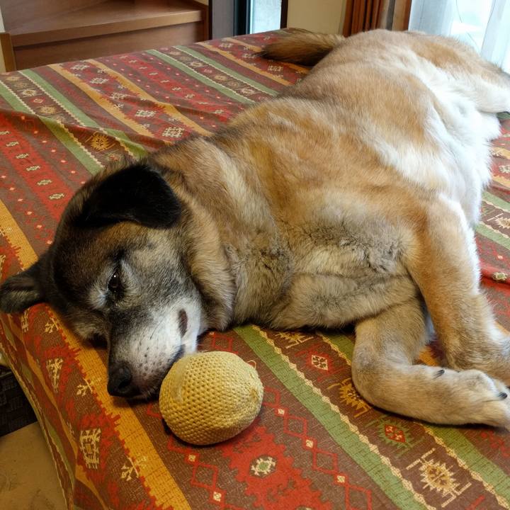 96a2fb9a 465f 469c b149 19f6f0c8da91 1529310150298