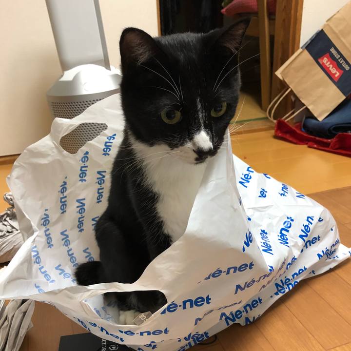 96a322d4 418b 4e72 b056 958c29d4aba5 1539324011654