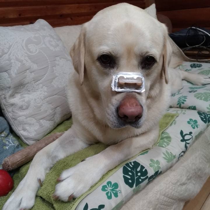 96a32d1f 390f 4d85 a0f5 bd51e80931c9 1638098239848