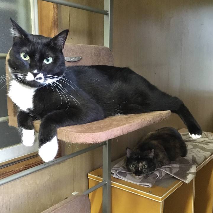 96a33cd8 97e1 48d7 a204 5c56fc1fa1ad 1565952926505