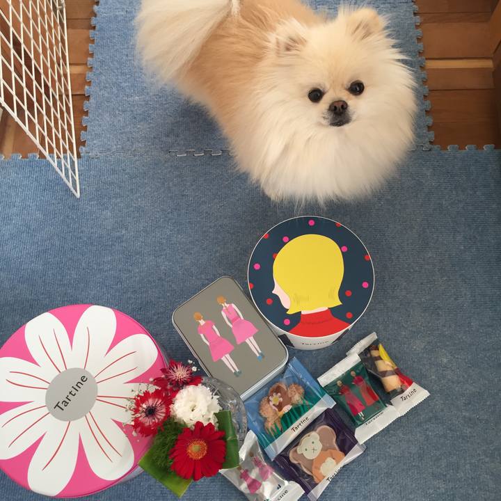 96a3535c 3126 4353 810d 6291296cb392 1545111242448