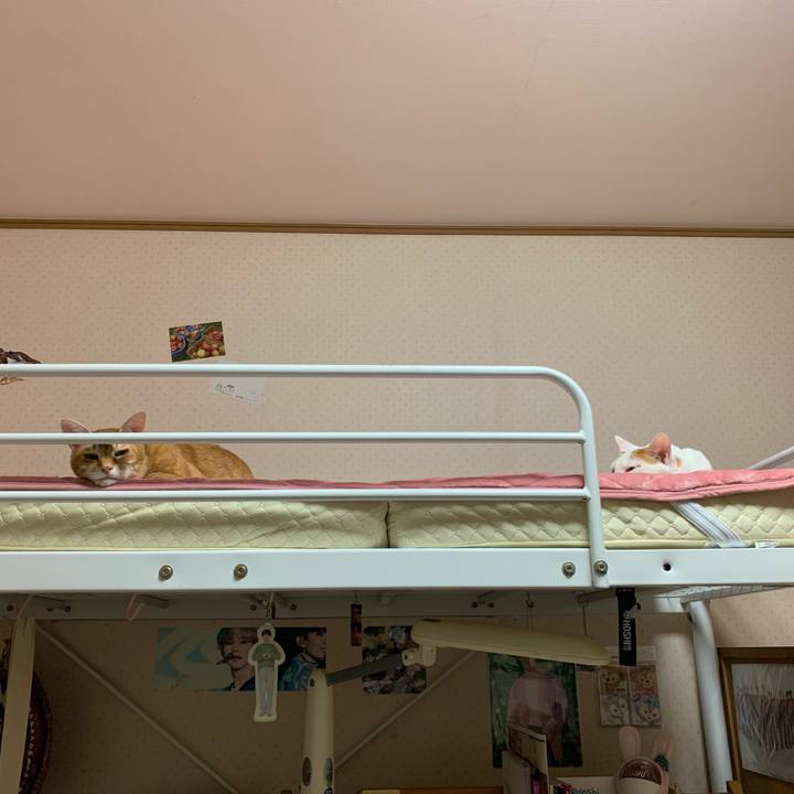 96a3692f 33da 48db 997f ef7345b352b2 1559581901732