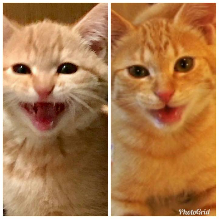 96a38292 e622 4fa3 888d b53938db92e5 1535527652966