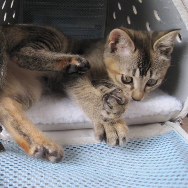 96a39e89 dbe9 495e adc1 b5c5d367548f 1614921609090