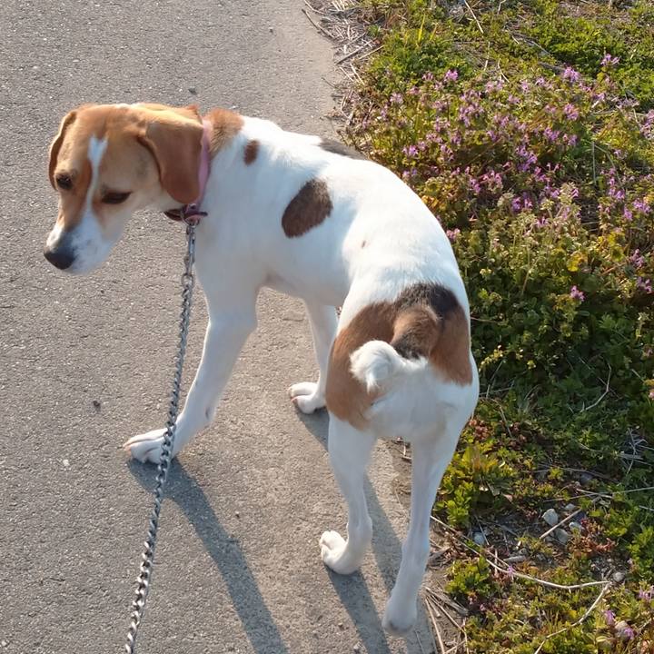 96a3ad63 53c1 4555 a83a e82e93dc02ce 1584326189617