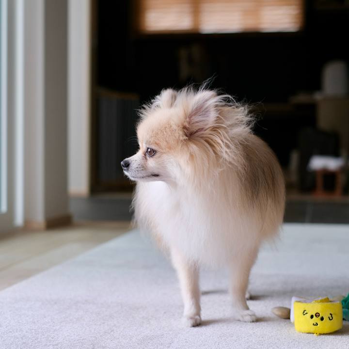 96a3b6dd 981c 4811 9704 7ae55d192591 1757369404728