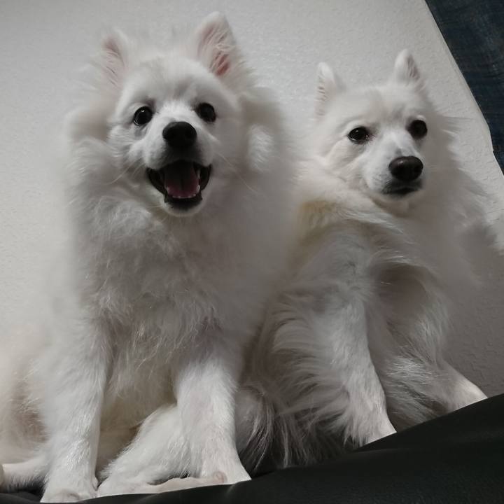 96a3bdcb e4f6 4714 847a 6e85edd69b7c 1555327729855