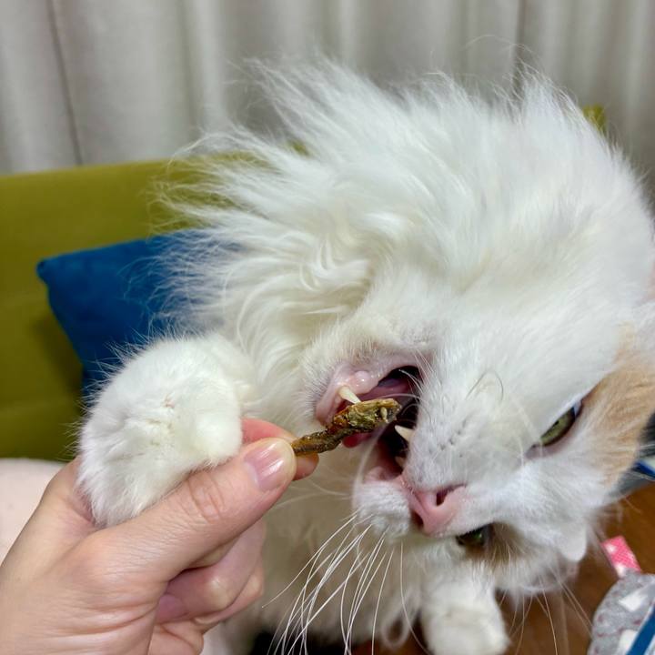 96a3d9b8 977f 4884 b7db 1a248f207113 1770608325014