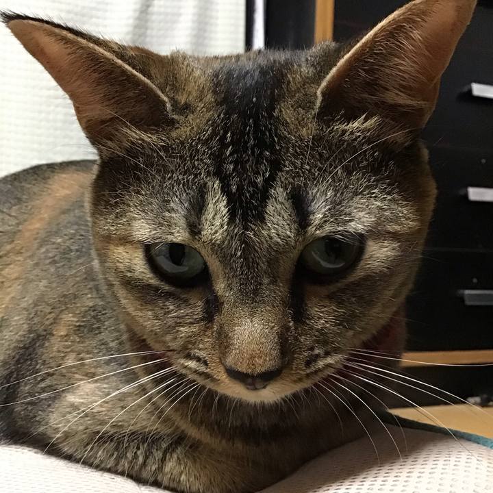 96a3e0b1 2061 4287 b96c e01df15d5e60 1599818745777