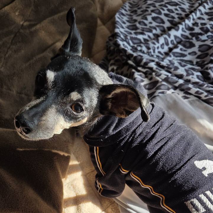 96a3e975 0407 4bc0 bc32 e215fb9e94cd 1768796139364