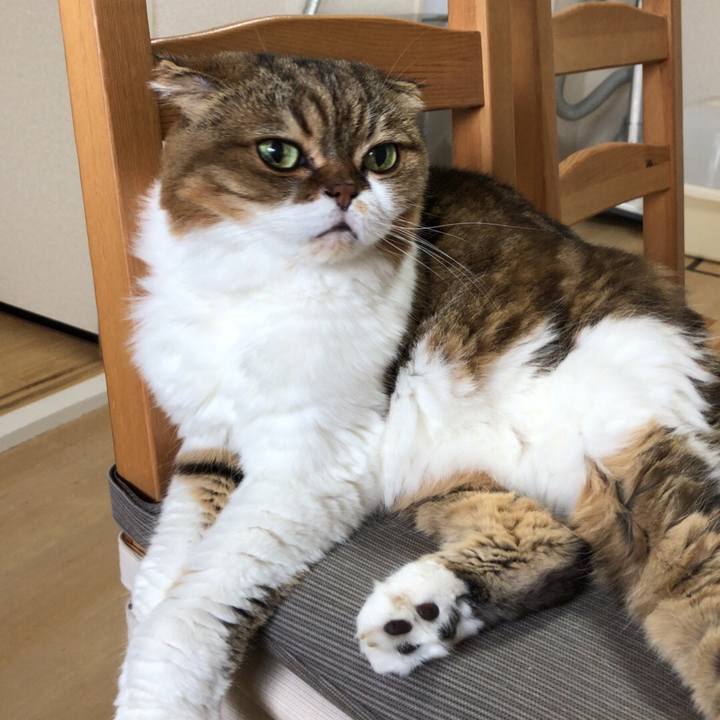 96a41e7e bc23 48c6 98ad f76408108af9 1537580983578